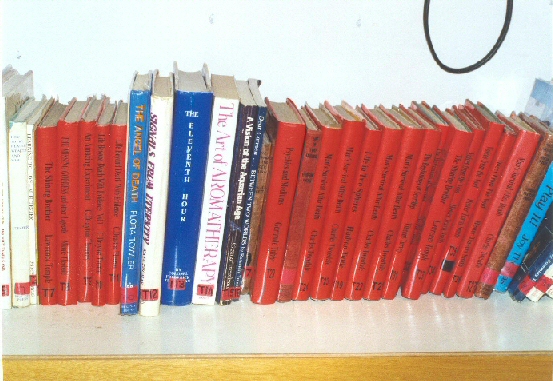 photo of library (5)