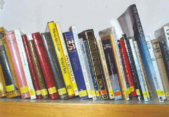 photo of library (6)